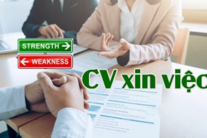 Cách viết ưu nhược điểm của bản thân trong CV xin việc